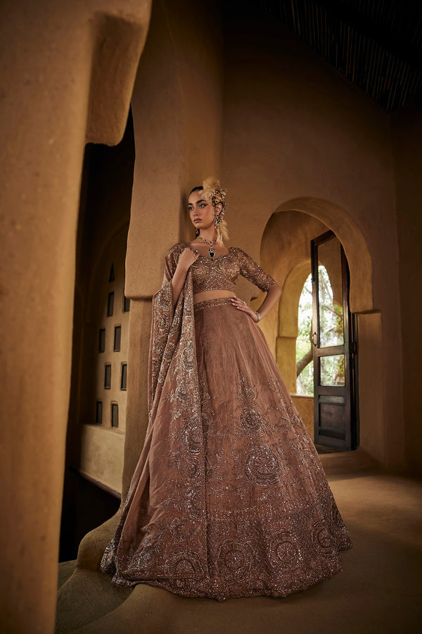 Brown silk tissue lehnga set with blouse and dupatta